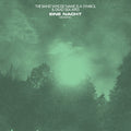 DEAD SEA APES AND THE BAND WHOSE NAME IS A SYMBOL - Eine Nact Vol. 2 Vinyl LP