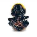 DEADBEAT - Walls & Dimensions CD CD