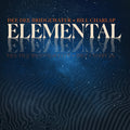 Dee Dee And Bill Charlap Bridgewater - Elemental Vinyl
