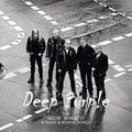 Deep Purple - The Now What?! B-Sides And Bonus Songs (Purple Lp) Vinyl