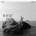 Delta Spirit - What Is There Vinyl LP Jacket, Sleeve, 180g, Black Vinyl