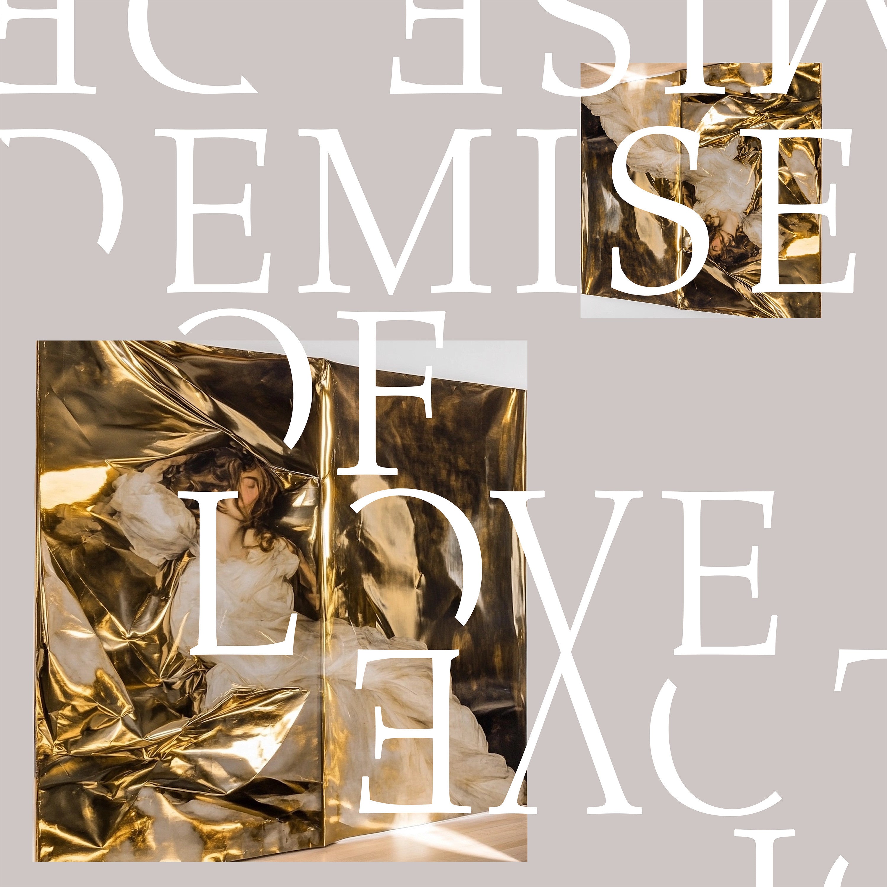 Demise Of Love - Demise Of Love Vinyl