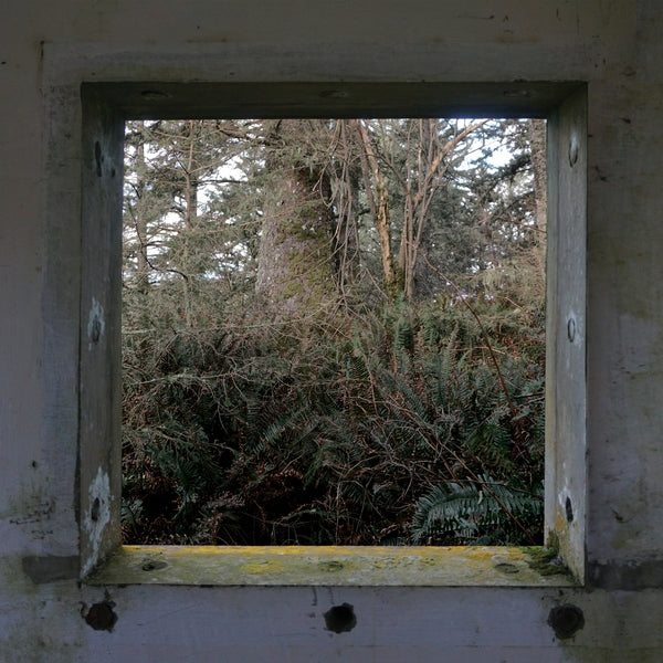 DEREK HUNTER WILSON - ScuLPtures [LP] Vinyl