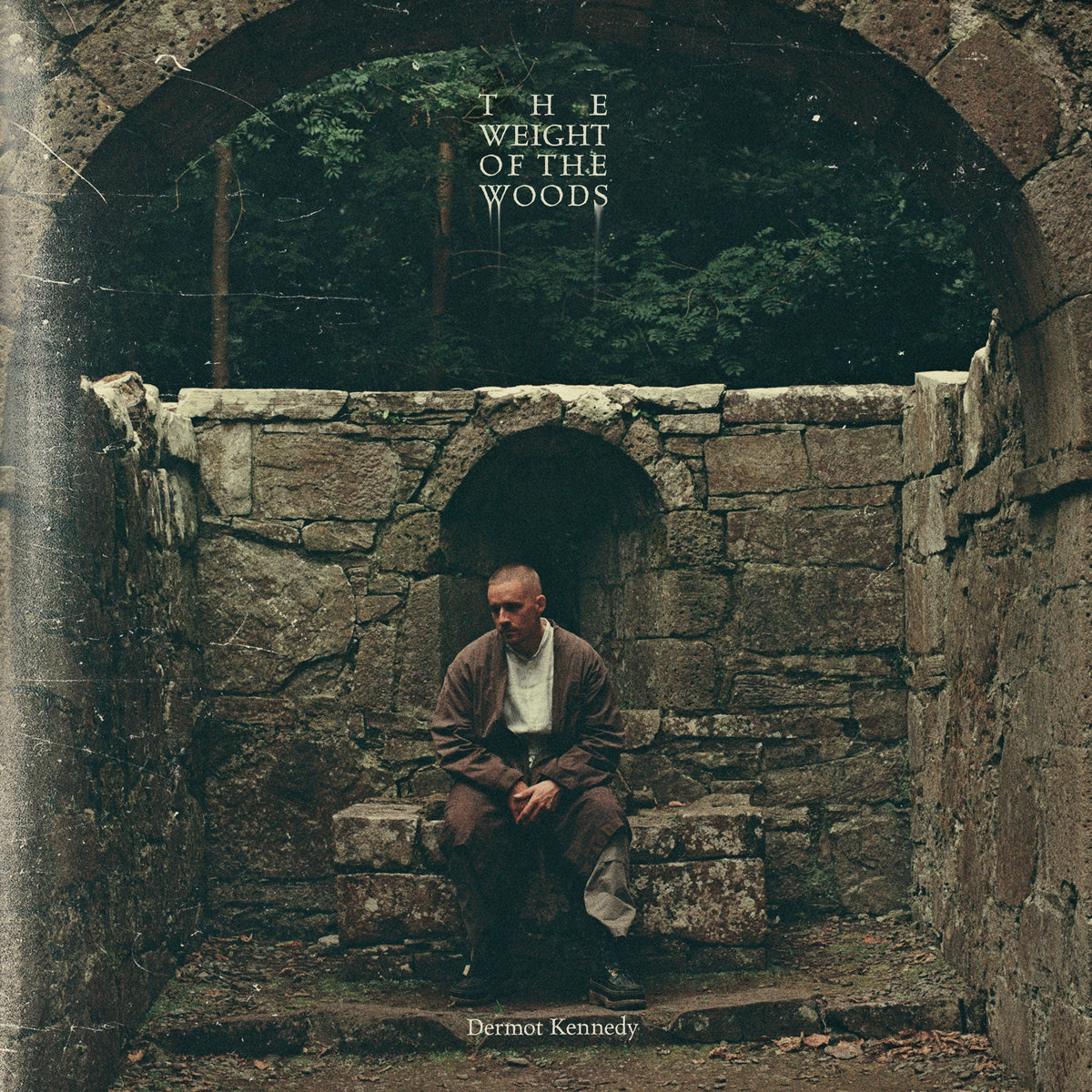 Dermot Kennedy - The Weight Of The Woods [Lp] Vinyl