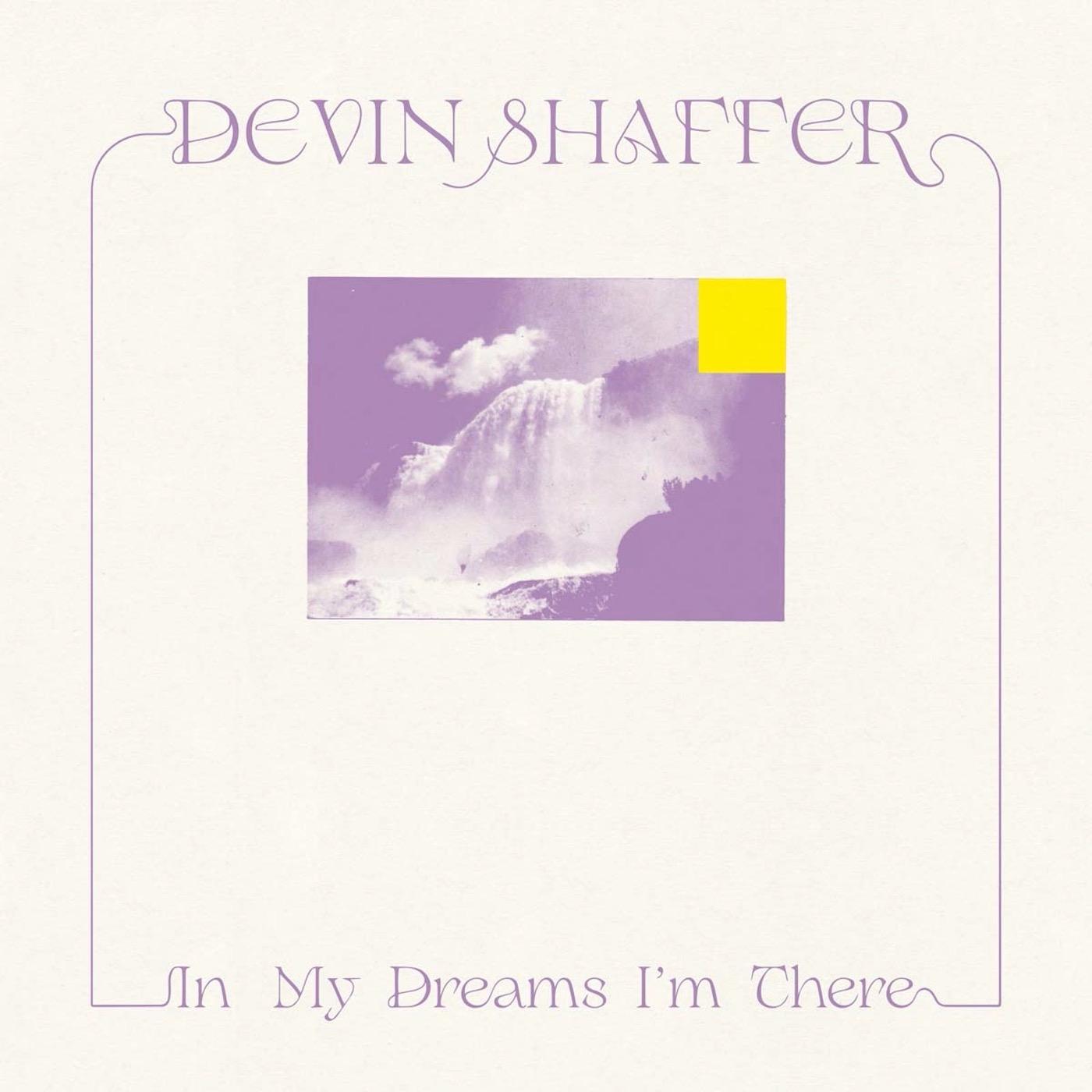 Devin Shaffer - In My Dreams I'm There Vinyl LP