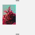 DIENNE - Addio Vinyl LP