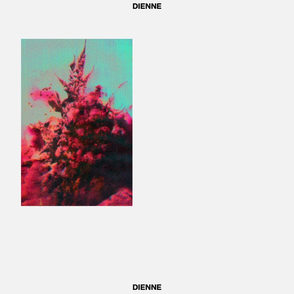 DIENNE - Addio Vinyl LP