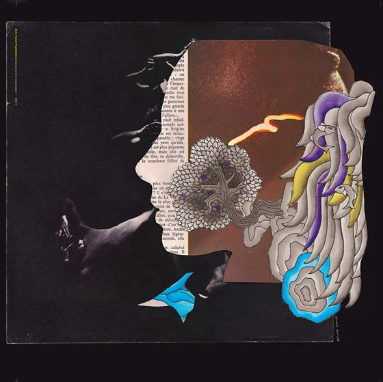 DIRTY SOUND SYSTEM - Dirty French Psychedelics Vinyl LP