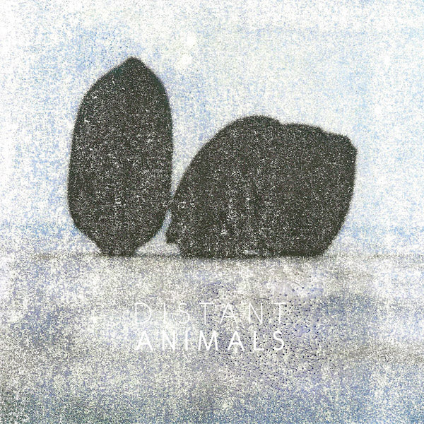 DISTANT ANIMALS - Lines Vinyl LP