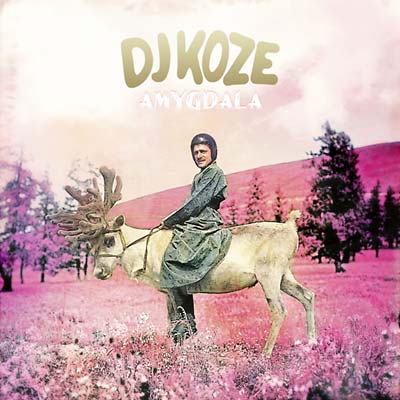 DJ Koze - Amygdala CD CD