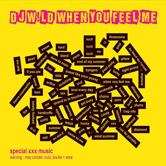 DJ W!LD - When You Feel Me CD 2CD