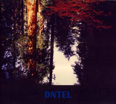 DNTEL - Aimlessness CD