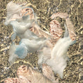 DOLPHIN MIDWIVES - Body Of Water Vinyl LP