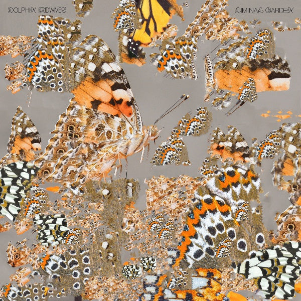 DOLPHIN MIDWIVES - Liminal Garden Vinyl LP