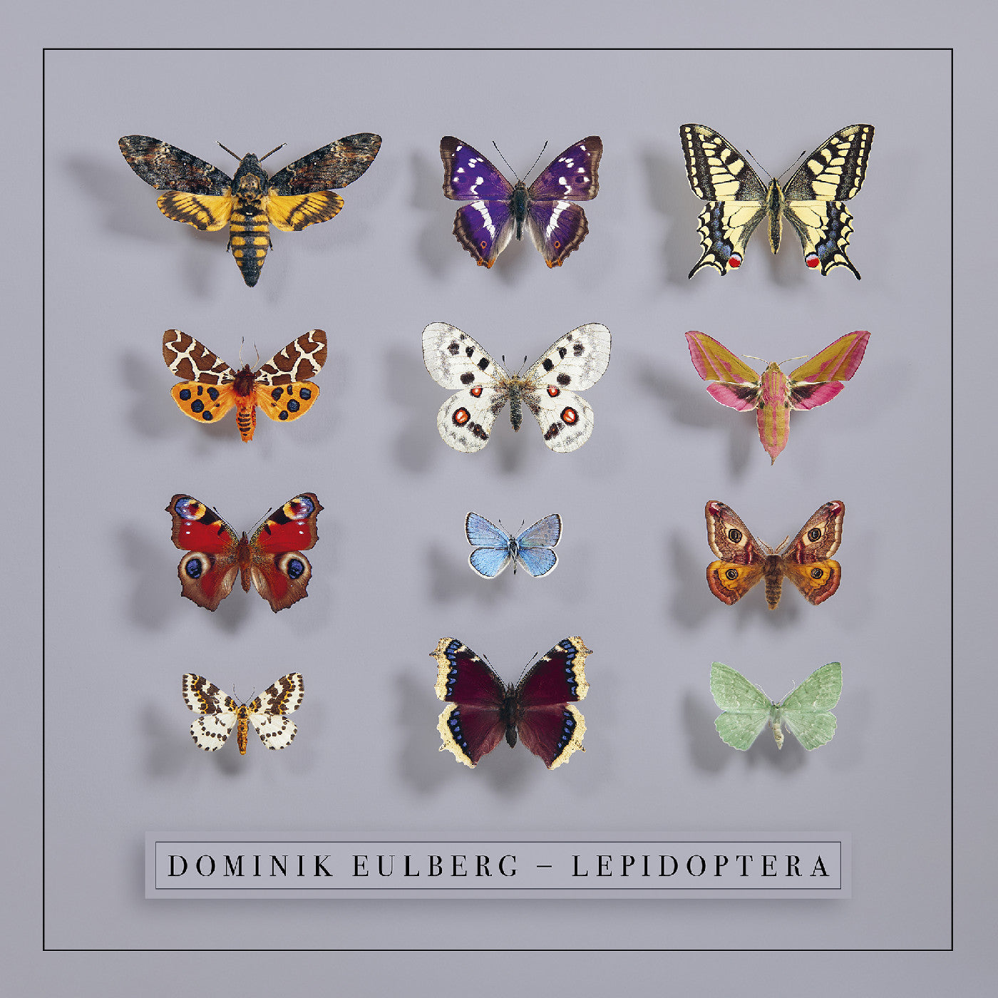 Dominik Eulberg - Lepidoptera CD