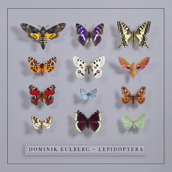 Dominik Eulberg - Lepidoptera CD