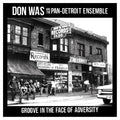 Don Was - Groove In The Face Of Adversity Vinyl