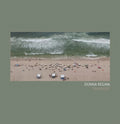 DONNA REGINA - Transient Vinyl LP
