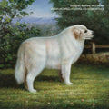 Douglas Andrew McCombs - VMAK<KOMBZ<<<DUGLAS<<6NDR7<<< Vinyl LP [w/ download card]