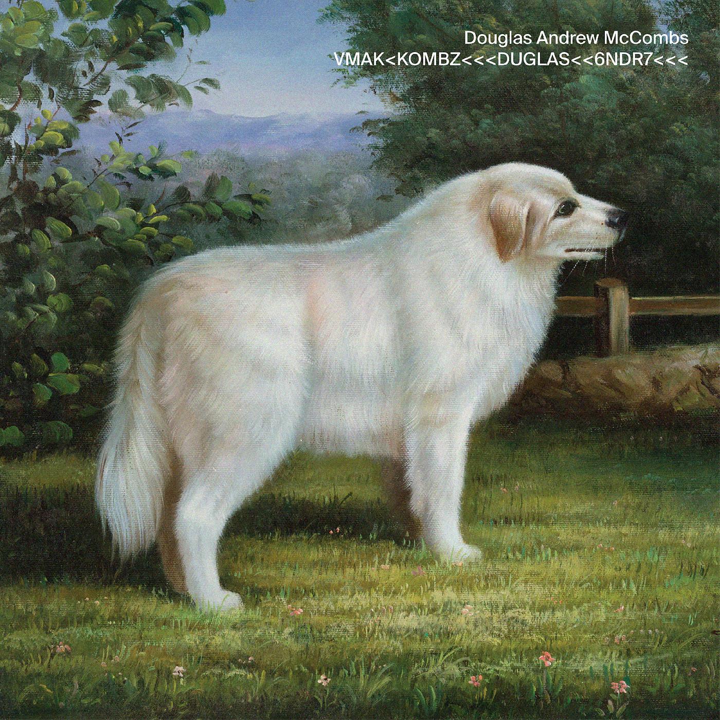 Douglas Andrew McCombs - VMAK<KOMBZ<<<DUGLAS<<6NDR7<<< Vinyl LP [w/ download card]