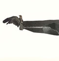 DREAMBOAT - Dreamboat Vinyl LP