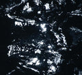 DUANE PITRE - Bayou Electric CD CD
