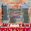 DUNUMS/CASUAL PLANES - Its In Your Ribs Vinyl LP