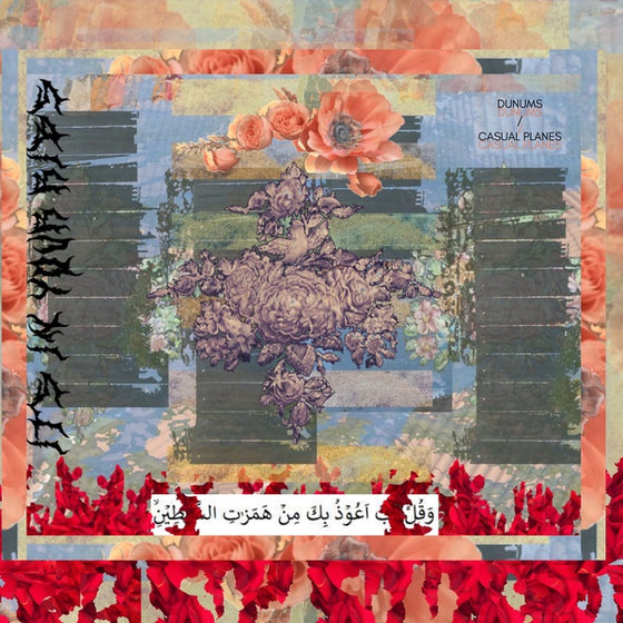 DUNUMS/CASUAL PLANES - Its In Your Ribs Vinyl LP