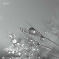 EDIT SELECT - Phlox Vinyl 2x12"