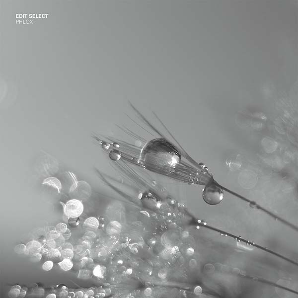 EDIT SELECT - Phlox Vinyl 2x12"