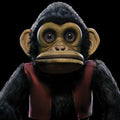 Edo Van Breemen - The Monkey (Lenticular Cover Housed Inside A Limited Slipcase) Vinyl