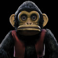 Edo Van Breemen - The Monkey Vinyl