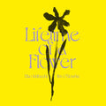 EIKO ISHIBASHI/JIM O'ROURKE - Lifetime of a Flower Vinyl LP