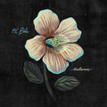 El Buho - Balance (Cd Reissue) CD