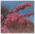 ELISABETH KLINCK - Picture a Frame Vinyl LP