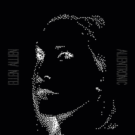 Ellen Allien - Alientronic CD CD