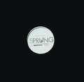 Ellen Allien - Sprung/Its Vinyl 12"