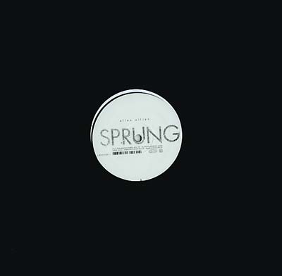 Ellen Allien - Sprung/Its Vinyl 12"