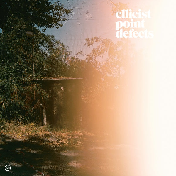 ELLICIST - Point Defects Vinyl LP