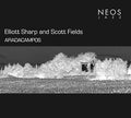 ELLIOTT SHARP & SCOTT FIELDS - Afiadacampos CD CD