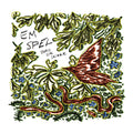 Em Spel - Bird Or Snake Vinyl