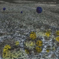 EMITER - Air/Field/Feedback CD CD