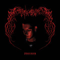 Endgame - Surrender Vinyl LP