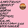 Erica Dawn Lyle VICE COOLER - Land Trust: Benefit For NEFOC (BABY PINK VINYL) Vinyl 2LP, Baby Pink Vinyl