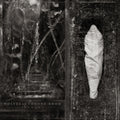 Estuary - Wolves In The Throne Room (Indie Exclusive) [Sea Blue With Splatter Vinyl] Vinyl
