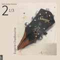 Eugene Chadbourne - Solo Guitar Volume 2-1/3 Vinyl LP