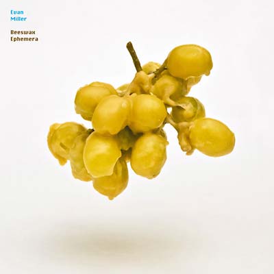 EVAN MILLER - Beeswax Ephemera CD CD