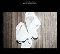 EVAN PARKER & JOE MCPHEE - What/If/They Both Could Fly CD CD