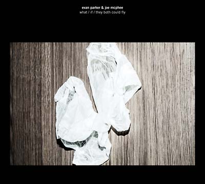 EVAN PARKER & JOE MCPHEE - What/If/They Both Could Fly CD CD