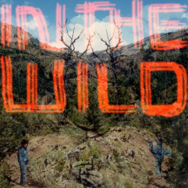 FaltyDL - In The Wild Vinyl 2LP w/ DL